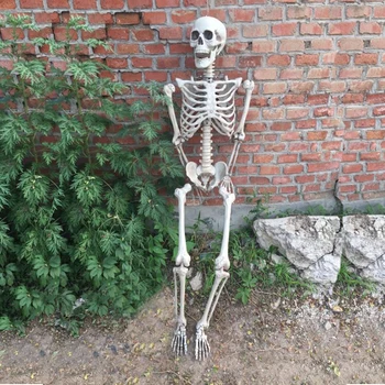 165cm Kelti N Sustabdyti Skeletas Helovinas Apdailos Plastikinių Žmogaus Skeletas