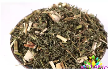 Artemisia annua saldus Anne aicao arbata žolelių. Nemokamas pristatymas